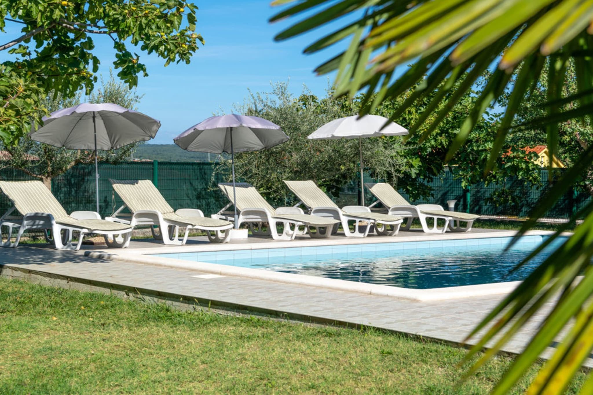 Villa SABINA - Breg Ivanovci - Three Bedroom Villa with Swimming Pool-Pool