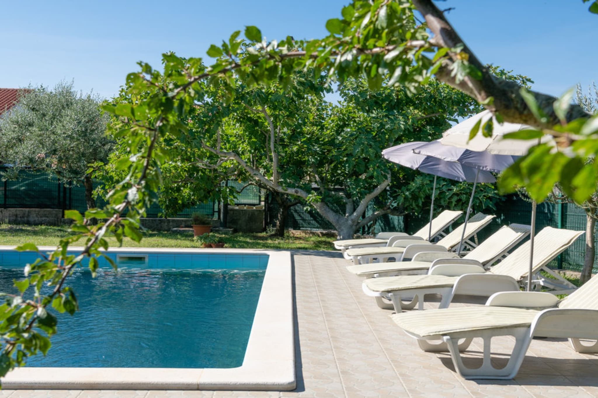 Villa SABINA - Breg Ivanovci - Three Bedroom Villa with Swimming Pool-Pool