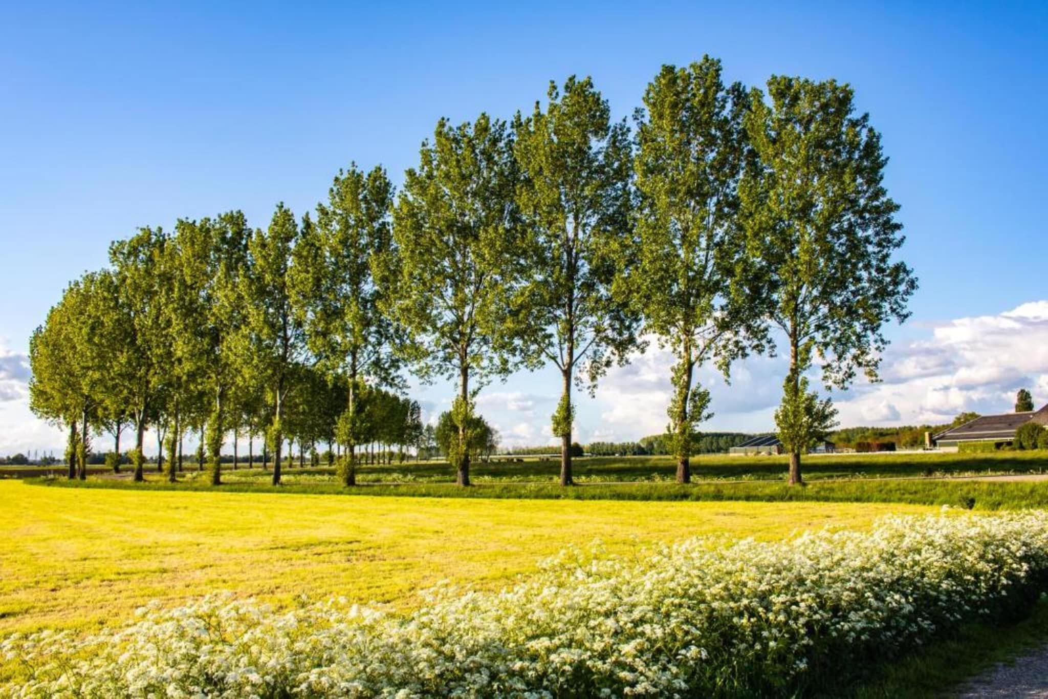 Halseweg 54-Gebieden zomer 20km