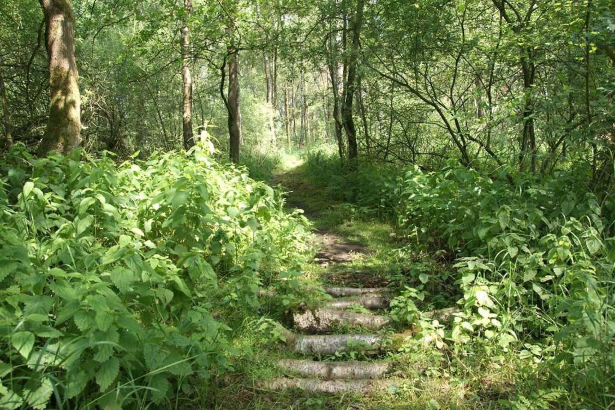 Halseweg 54-Gebieden zomer 20km