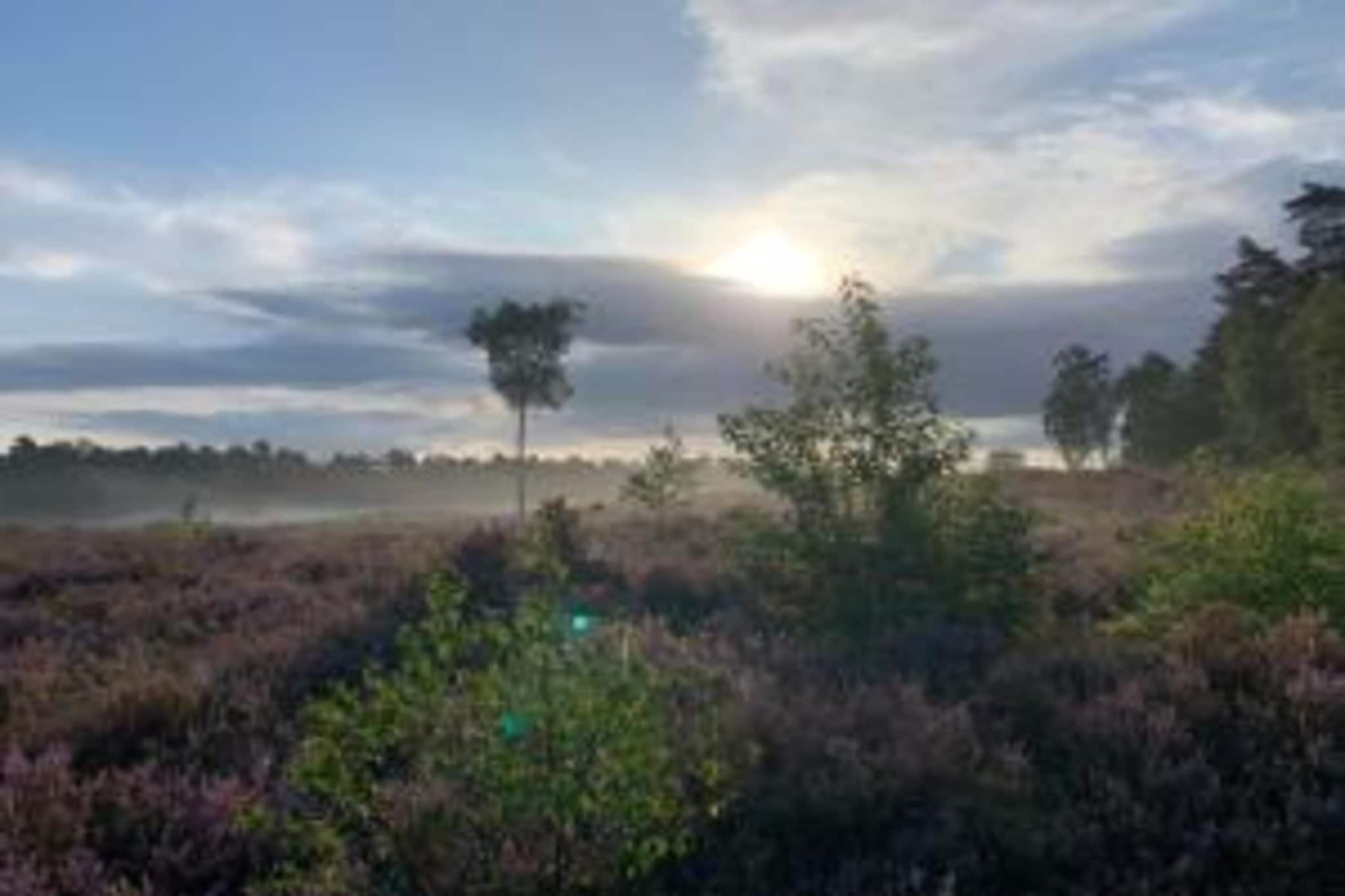 Halseweg 54-Gebieden zomer 20km