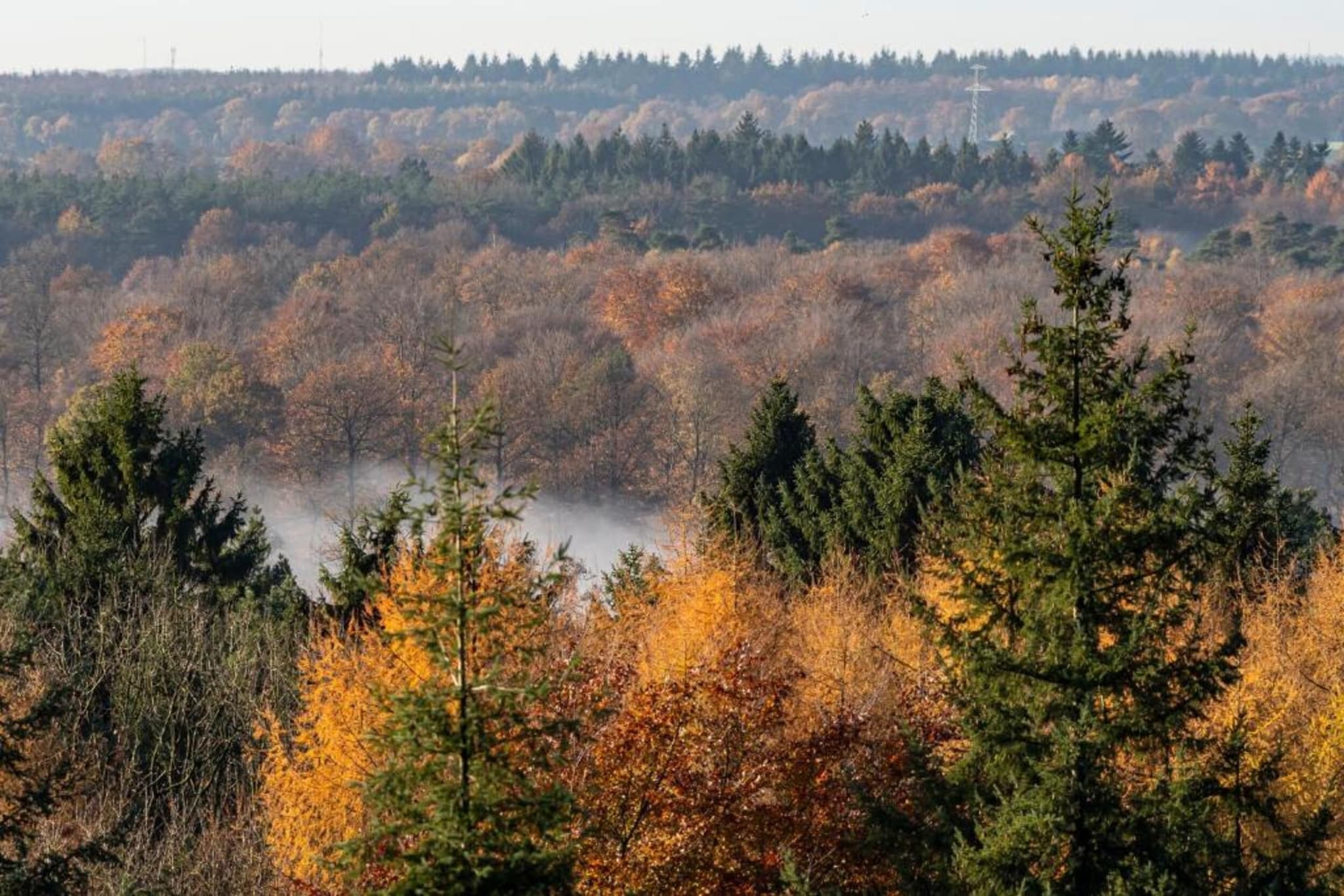 De Ploeg 6P-Zones d'été à 20 km