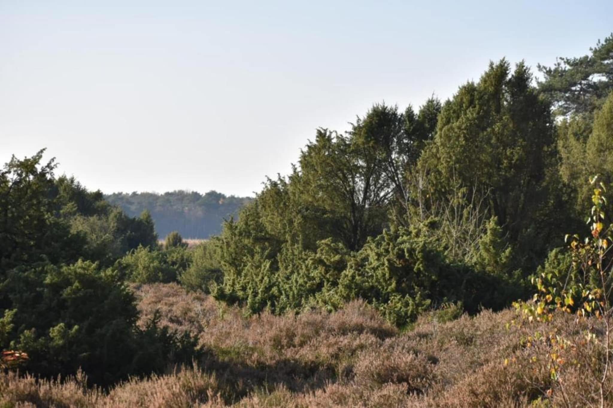De Ploeg 6P-Zones d'été à 20 km