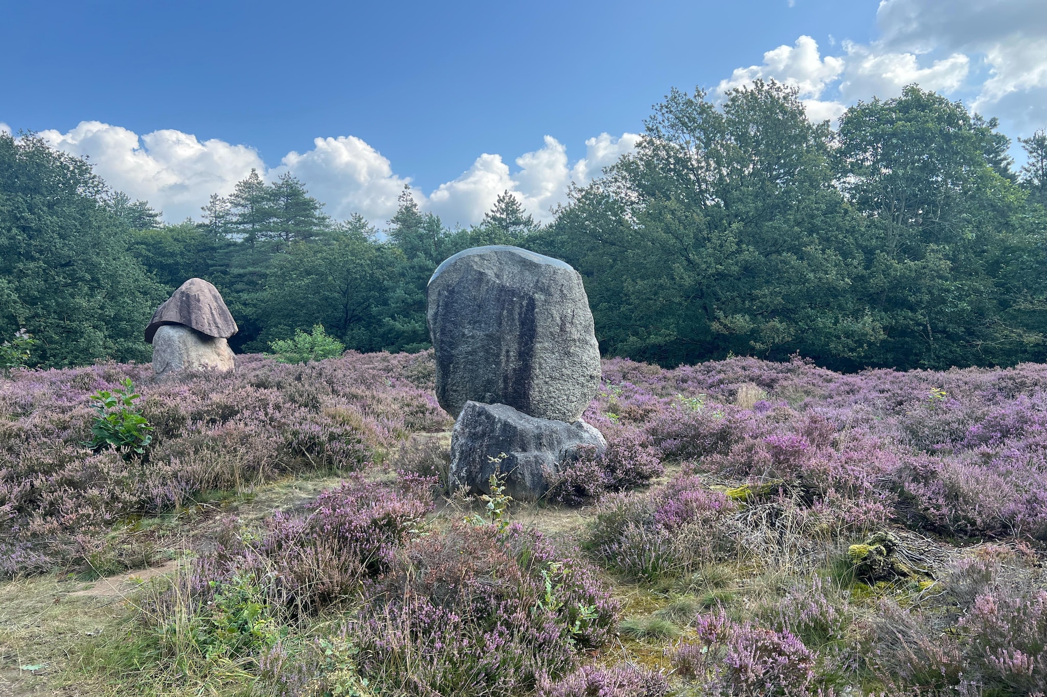 De Ploeg 6P-Gebieden zomer 5km