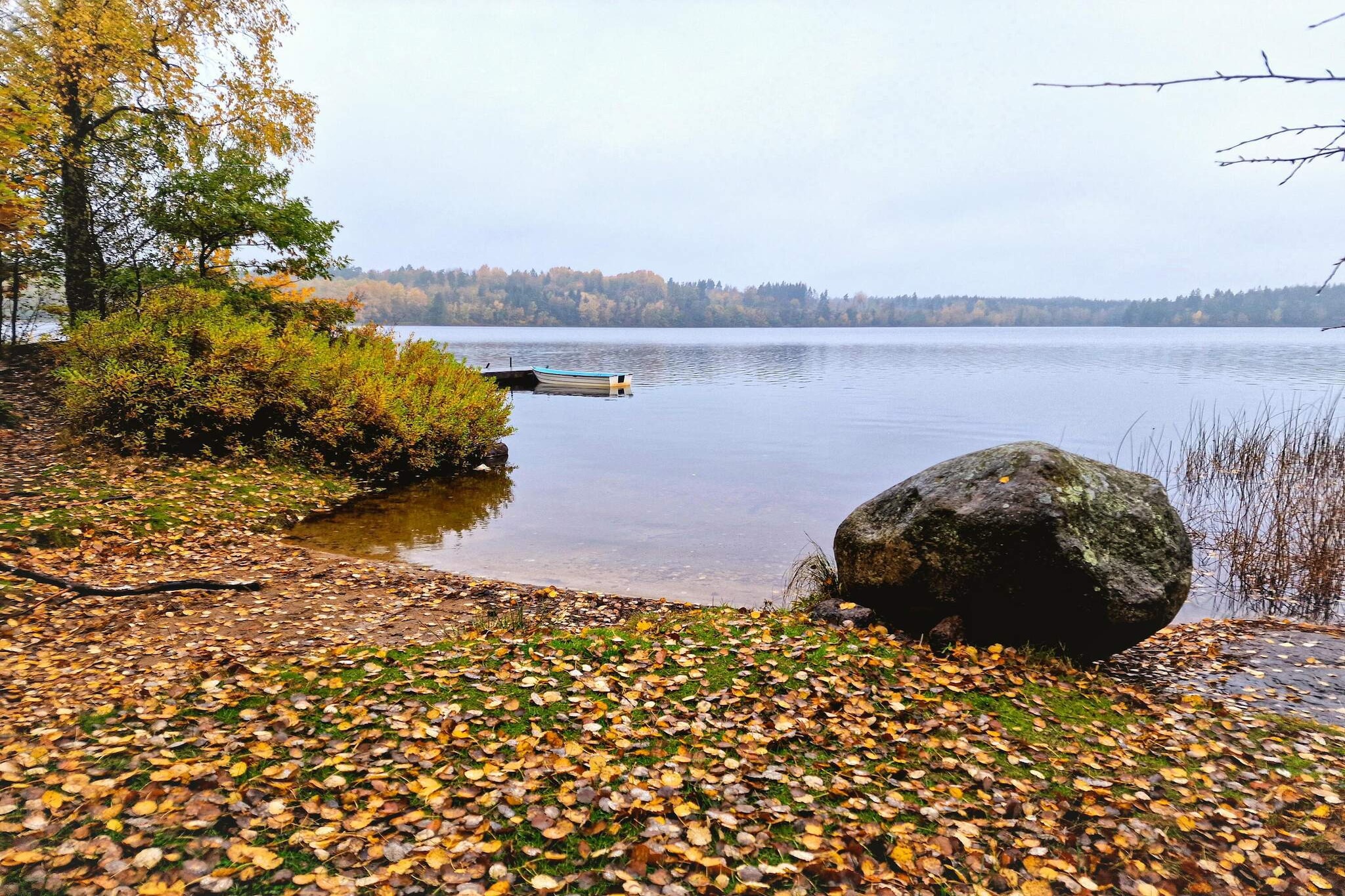 Water View
