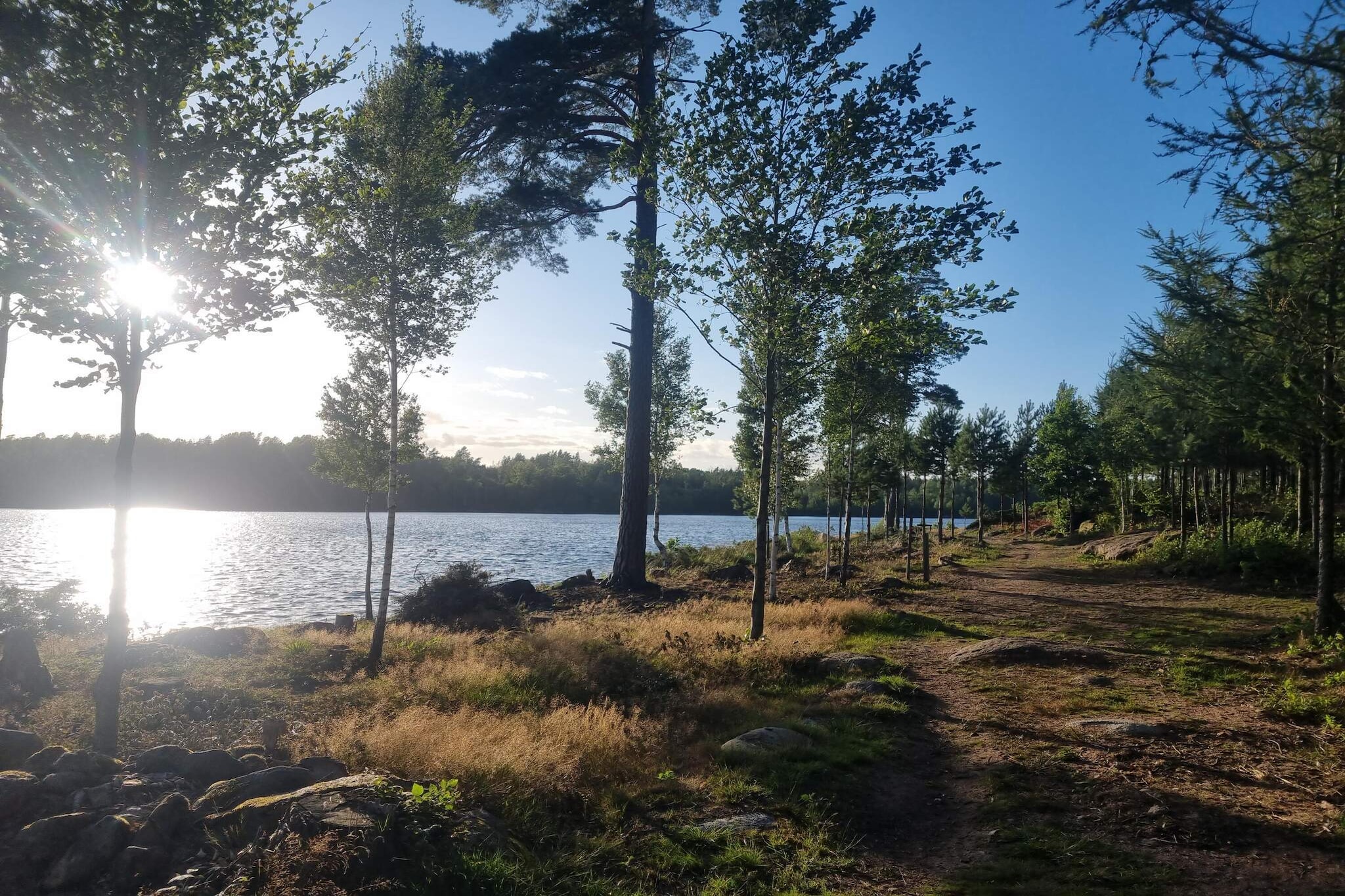 Water View