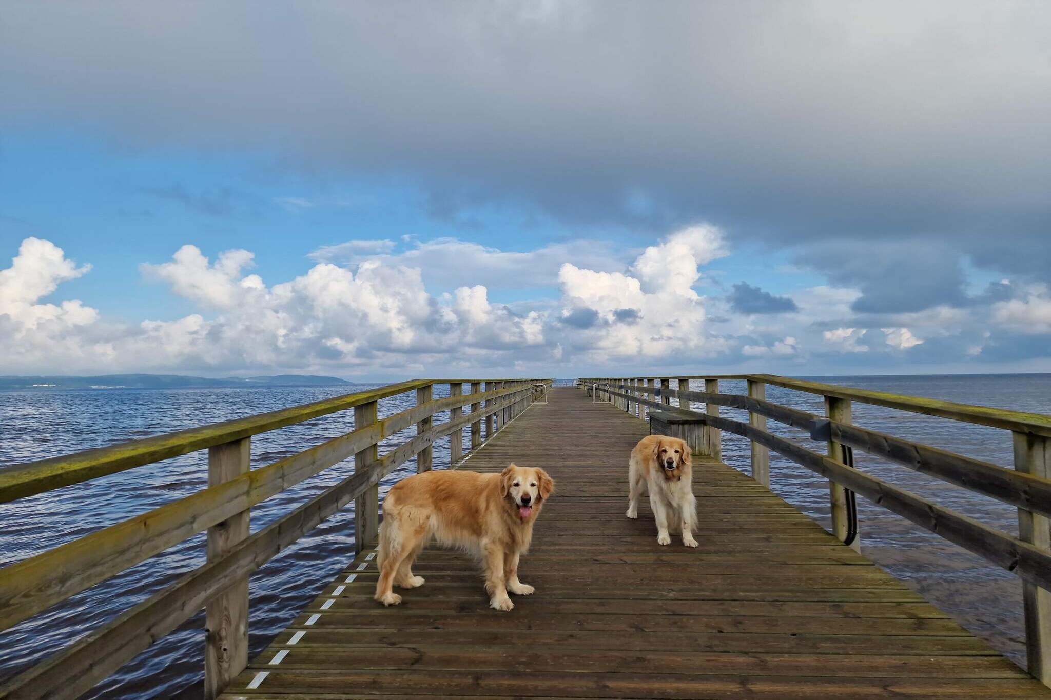 Mooi appartement vlakbij het strand-By Traum-Waterzicht
