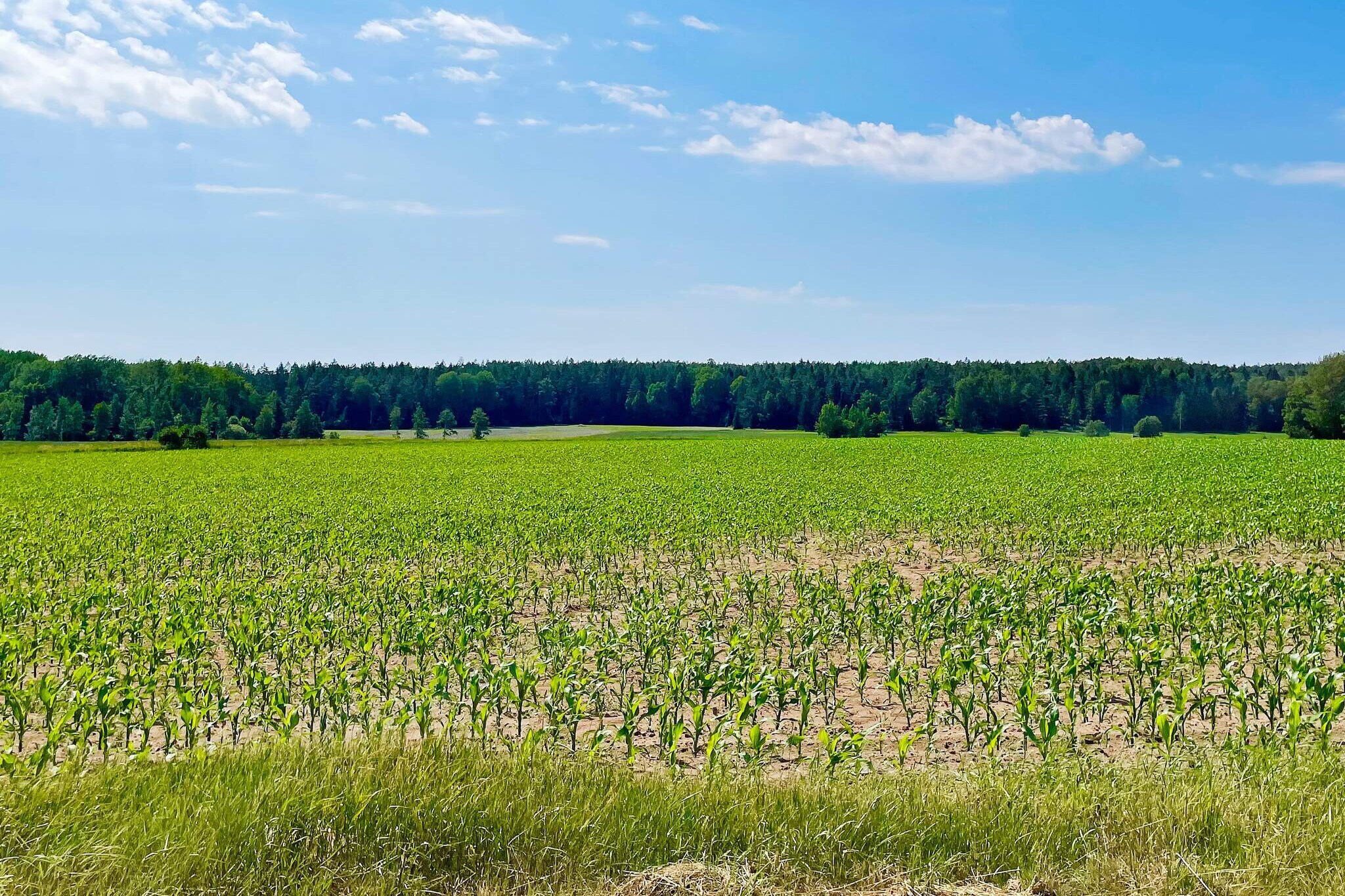 4 person holiday home in Edsbruk