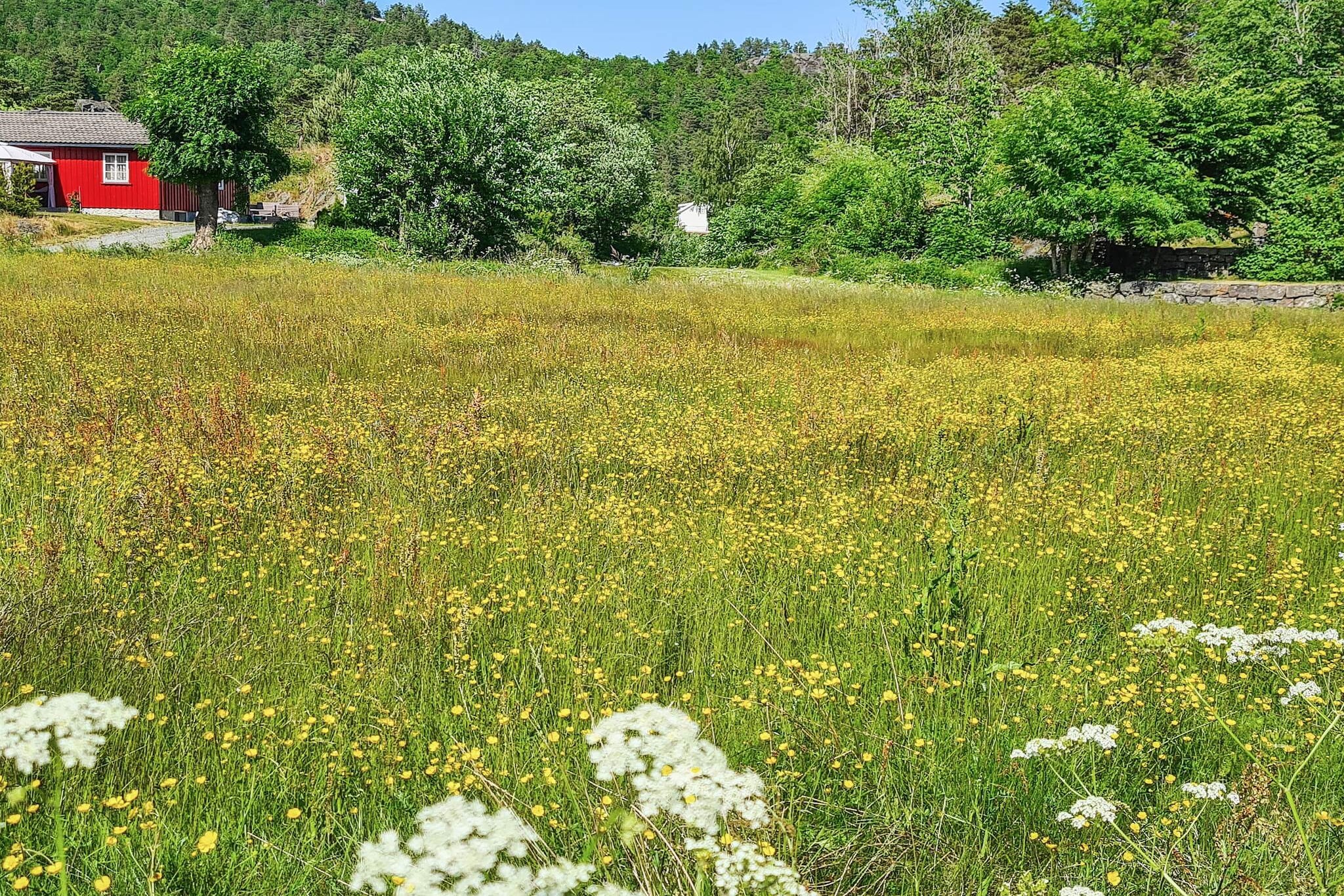 Maison de vacances pour 10 a Søndeled - Non tagué