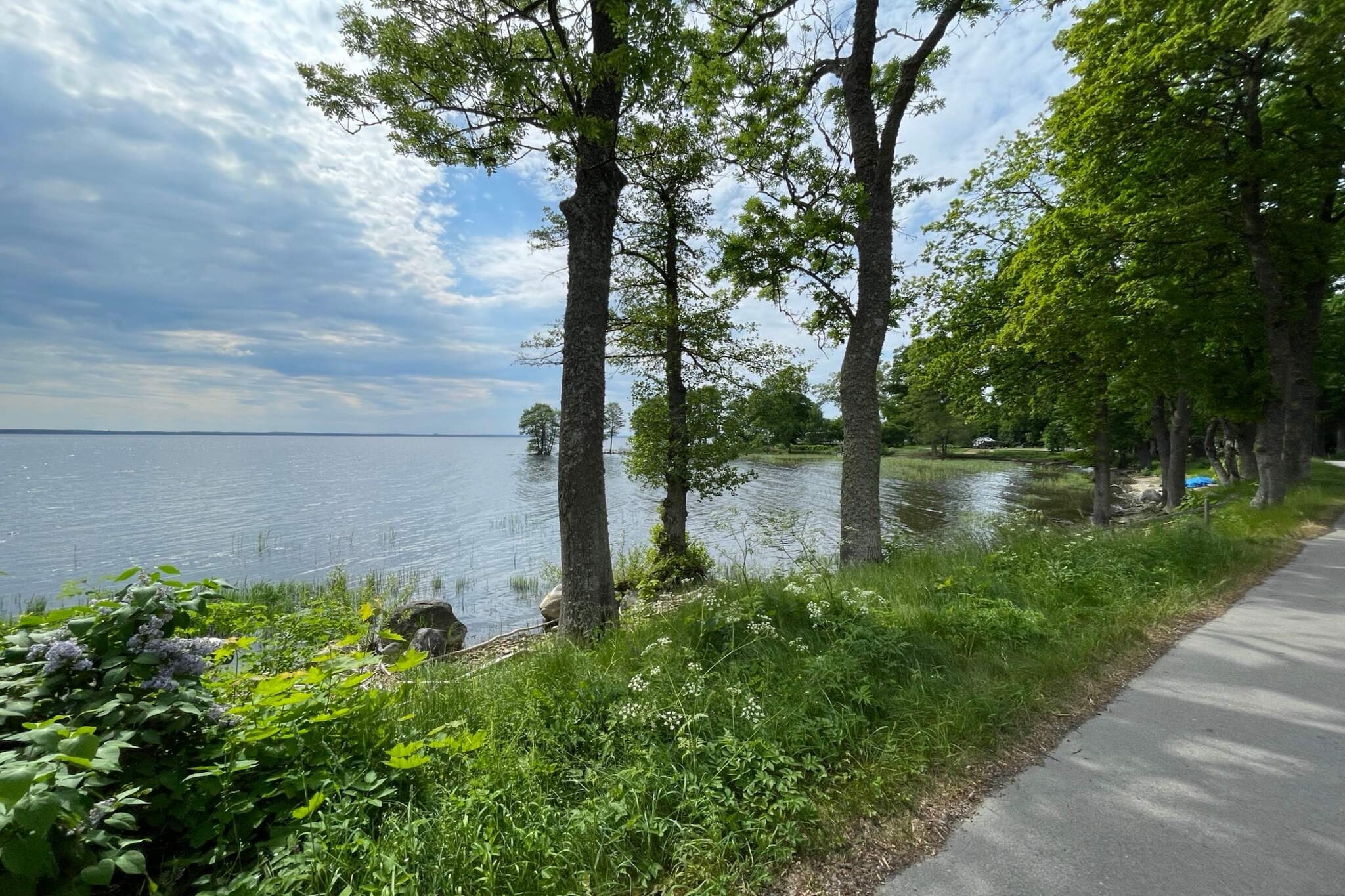 Water View