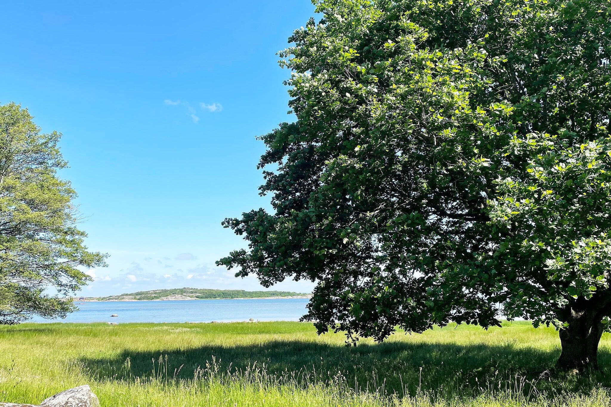 Internet Access DSL, Living room(double folding bed), Kitchen(cooker(electric), coffee machine, dishwasher, fridge(+ freezer)), bathroom(washbasin, shower, toilet), parking, water to water heatpump