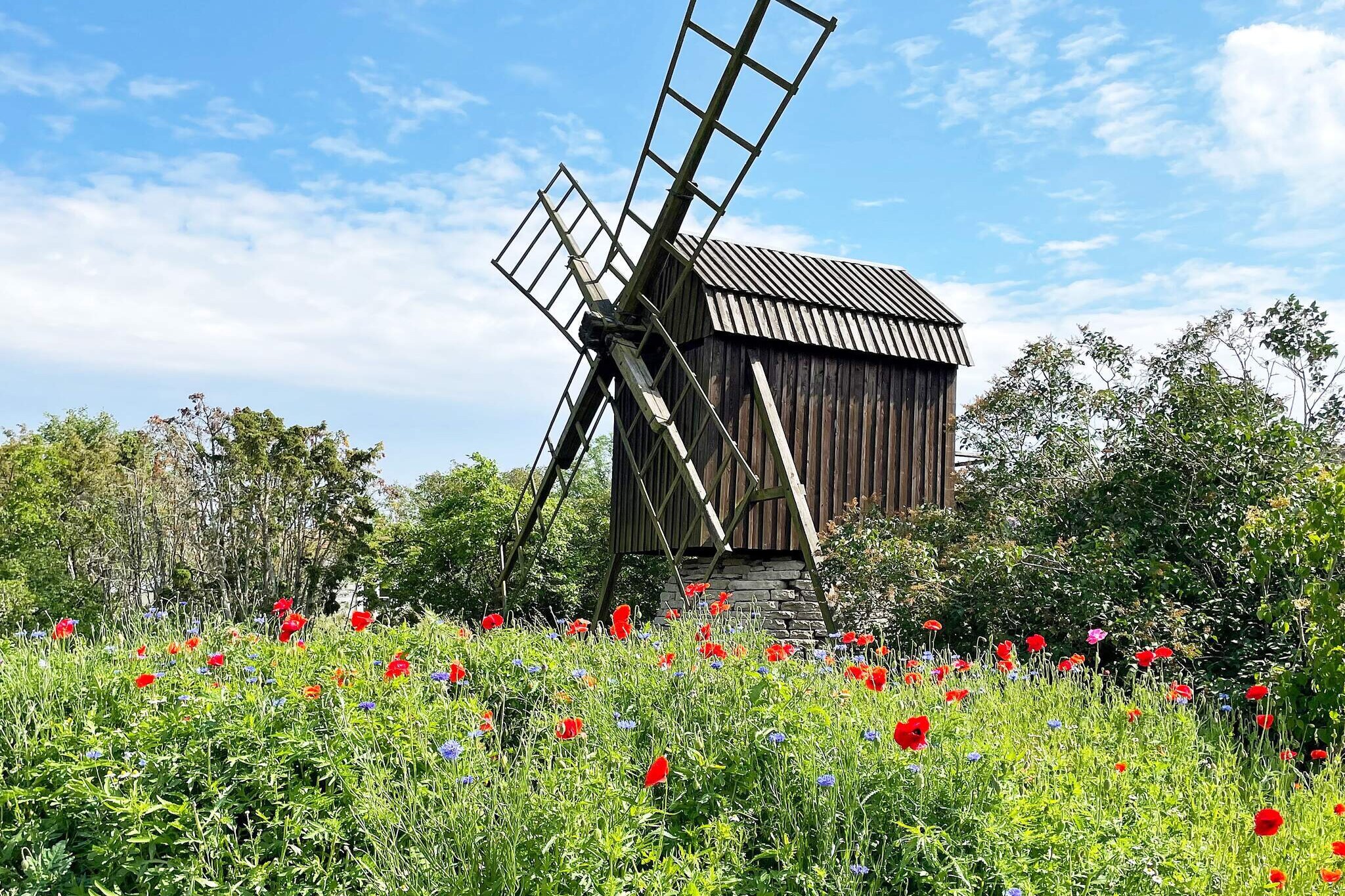 3 person holiday home in LÃ–TTORP