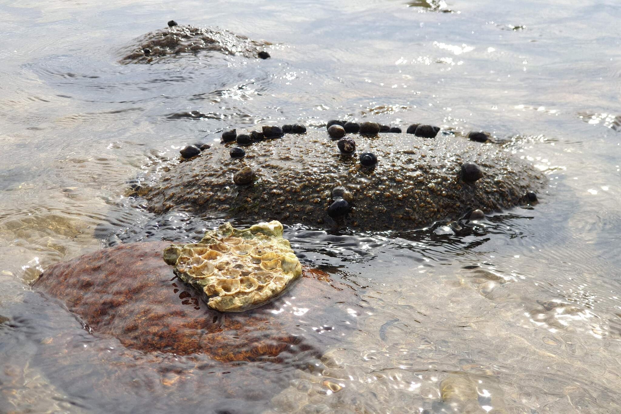 4 sterren vakantie huis in Øster Assels-By Traum-Waterzicht