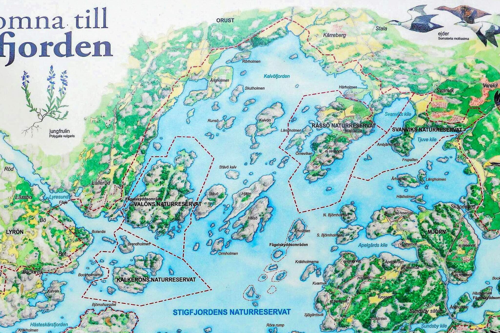 4 persoons vakantie huis in Nösund - Buitenlucht