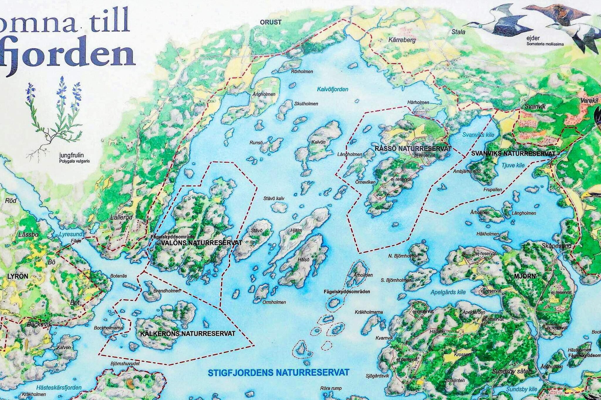 4 persoons vakantie huis in Nösund - Buitenlucht