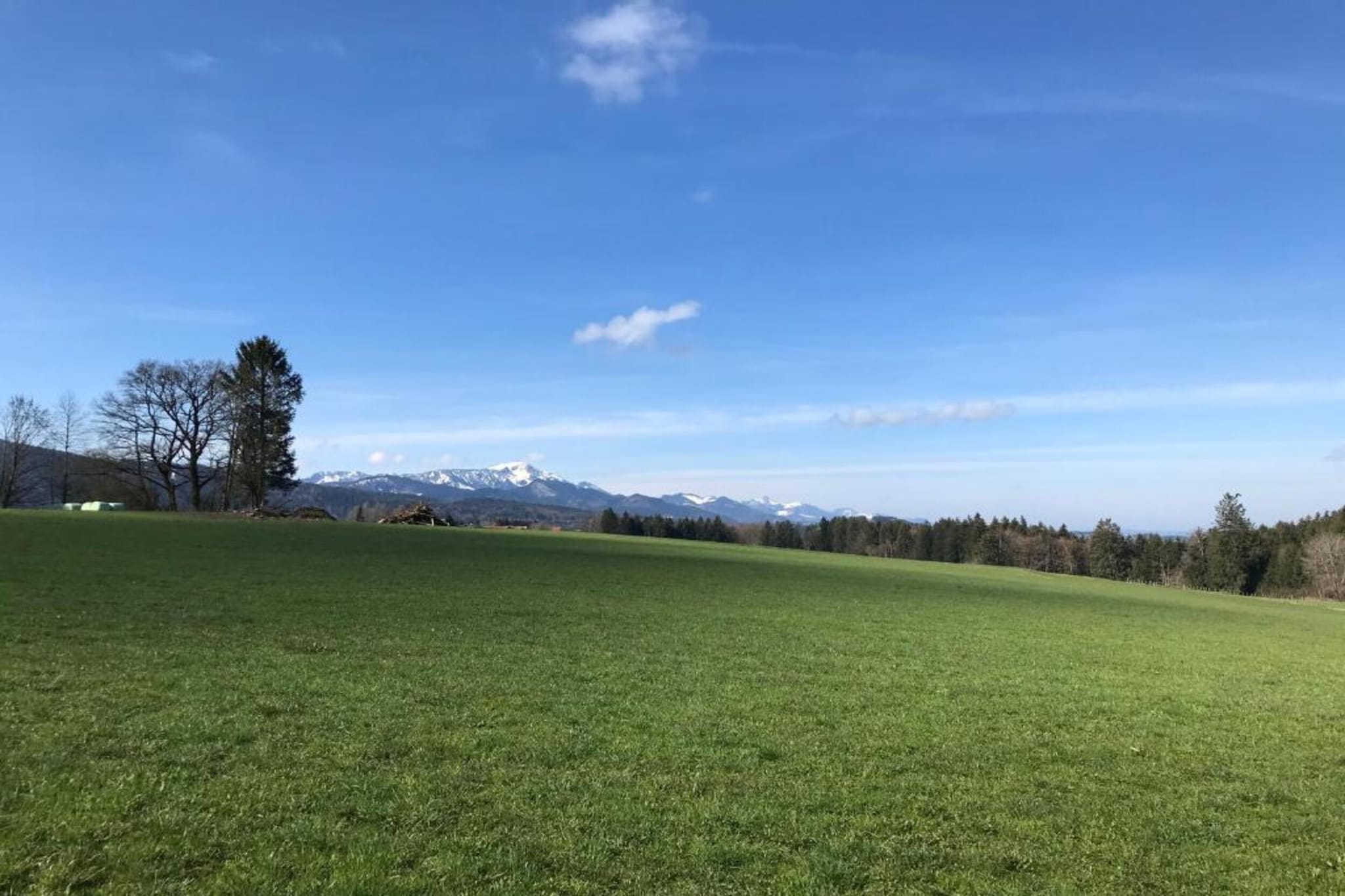 Ferienwohnung Crokus Siegsdorf-Gebieden zomer 20km