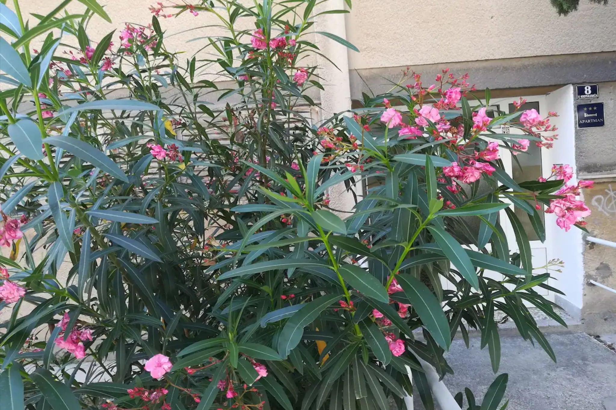 Friendly Well Located Family Apartment - One bedroom apartment