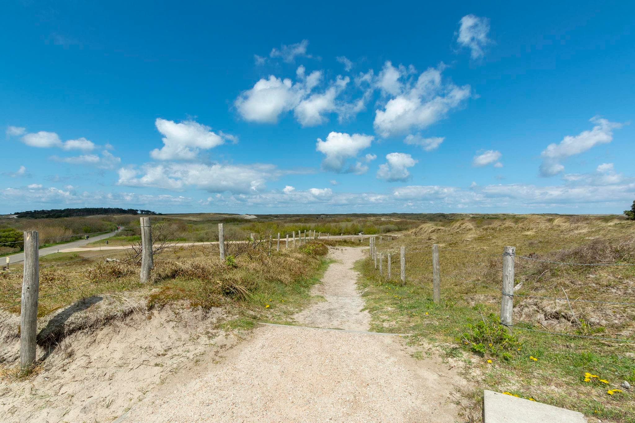 Duinland 68-Gebieden zomer 1km
