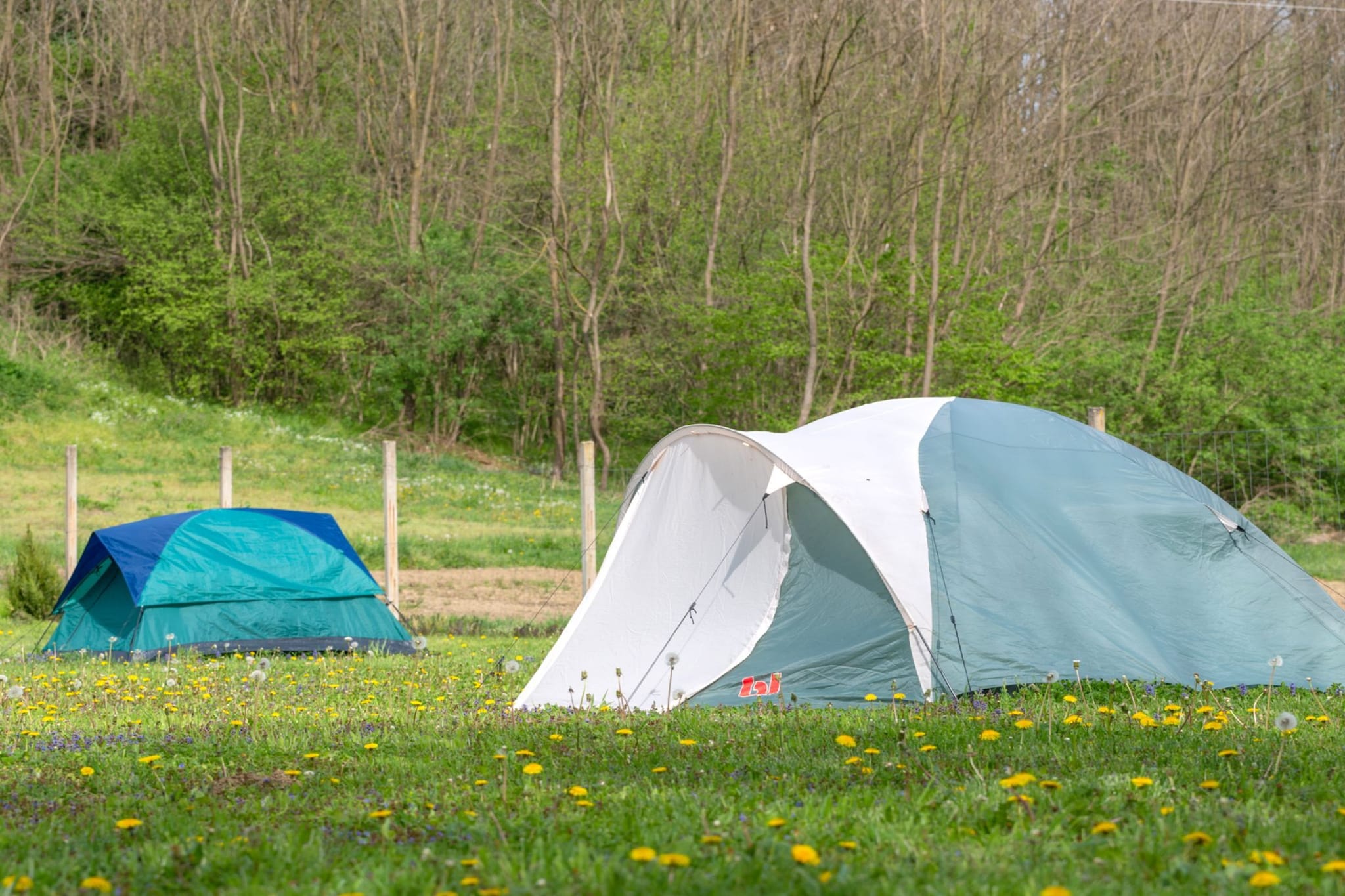 Robinzonski Kamp Hofman - Tent-Outdoor
