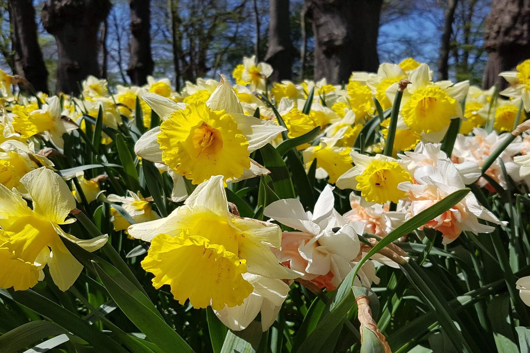 Sfeervolle retraite op Eno -- By Traum Ferienwohnungen-Niet-getagd