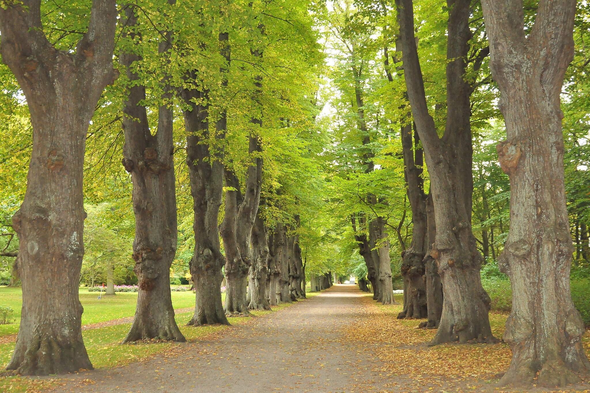 Sfeervolle retraite op Eno -- By Traum Ferienwohnungen-Niet-getagd