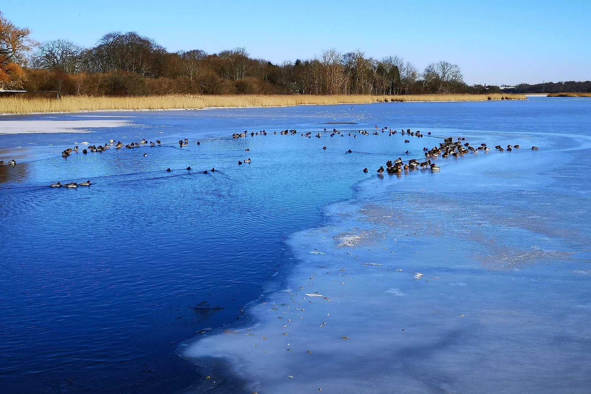 Sfeervolle retraite op Eno -- By Traum Ferienwohnungen-Waterzicht
