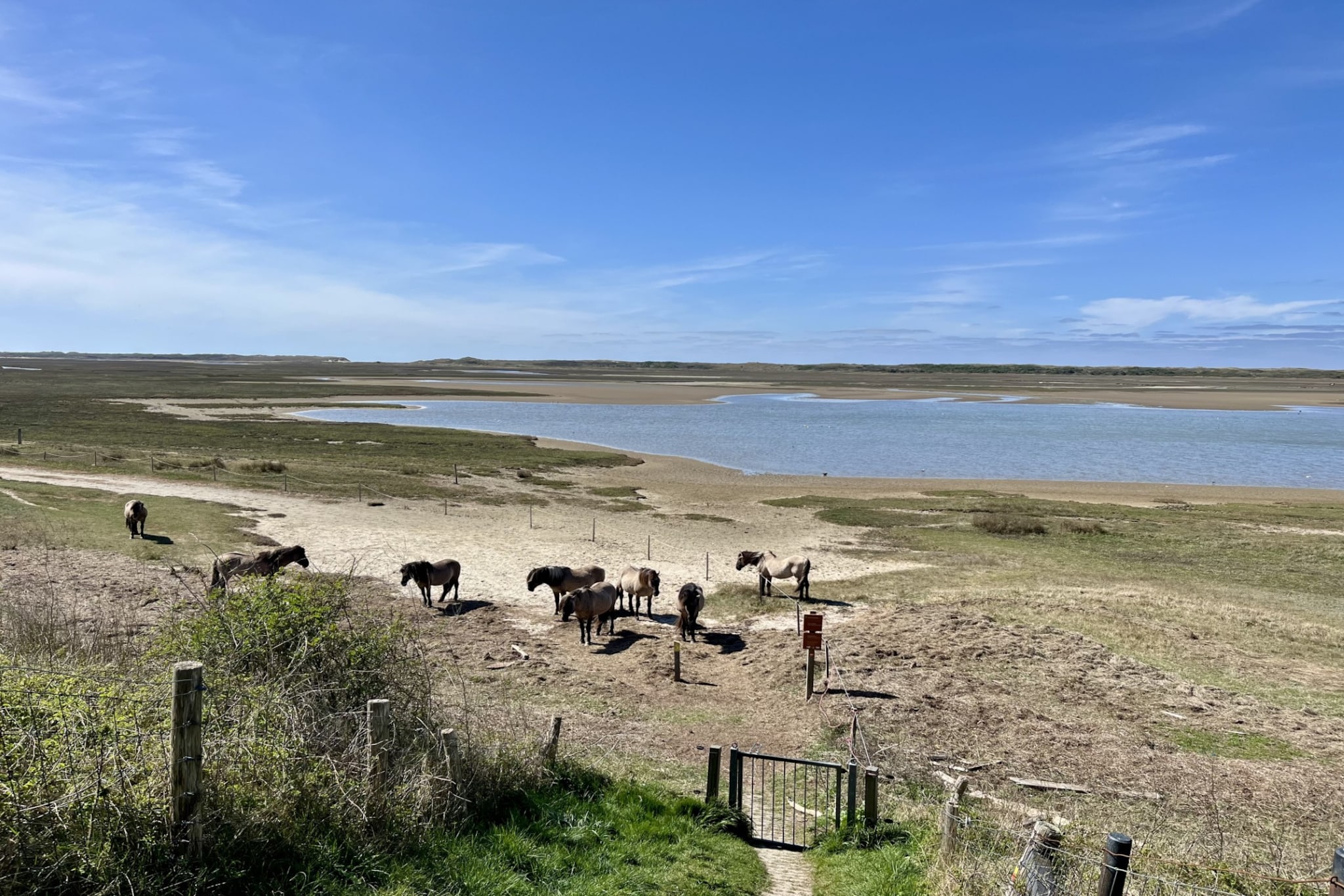 Beach Studio Texel-Areas summer 1km