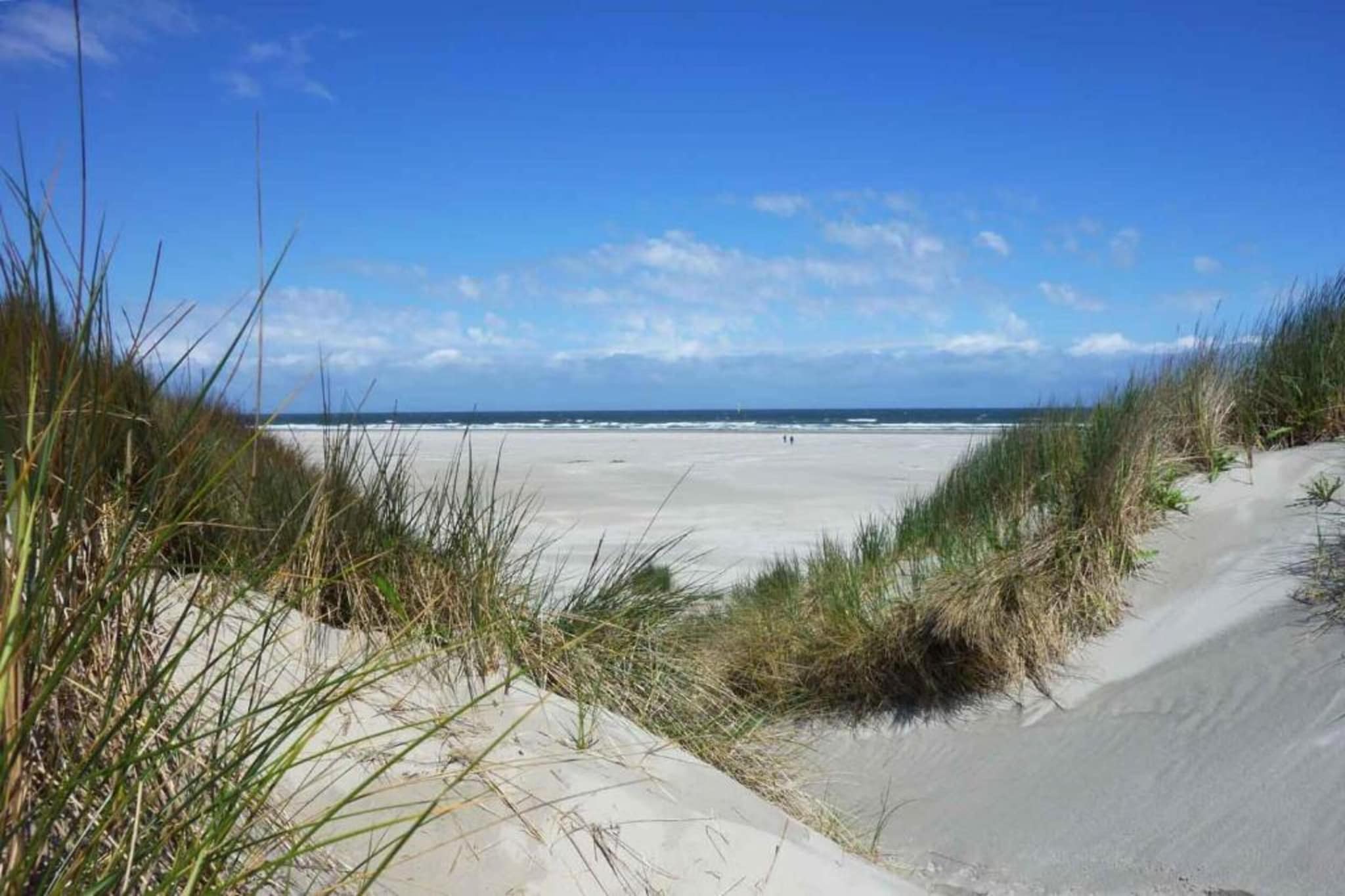 Beach Studio Texel-Gebieden zomer 20km