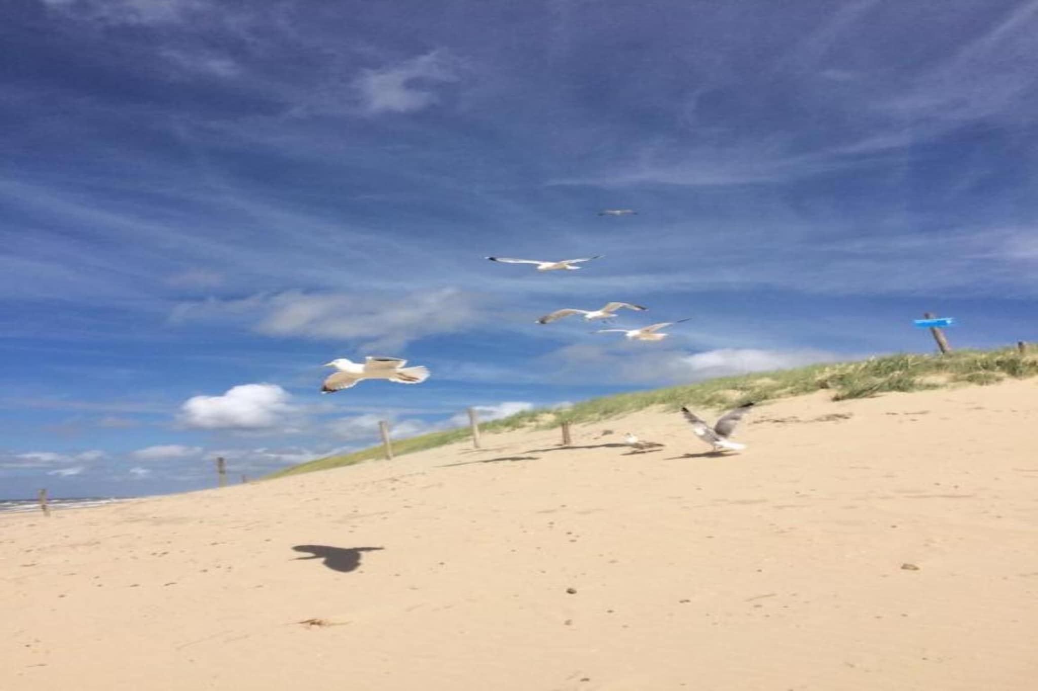 Beach Studio Texel-Gebieden zomer 20km