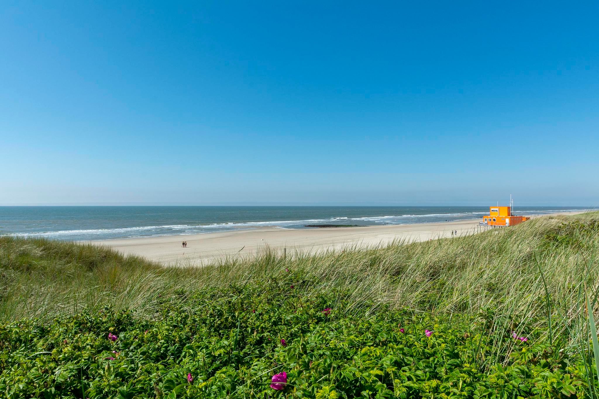 Suite Duinzicht-Gebieden zomer 5km
