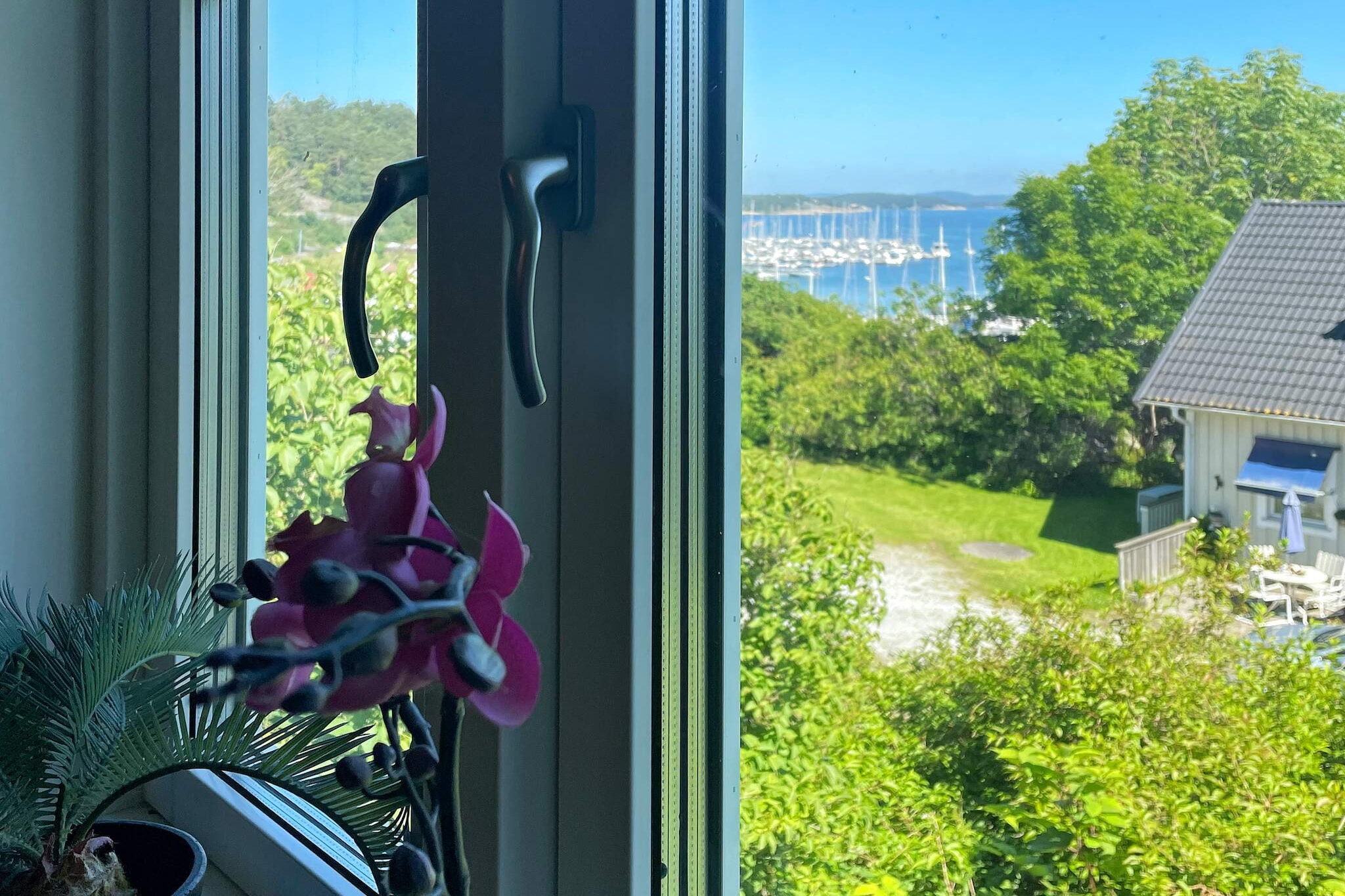 Water View