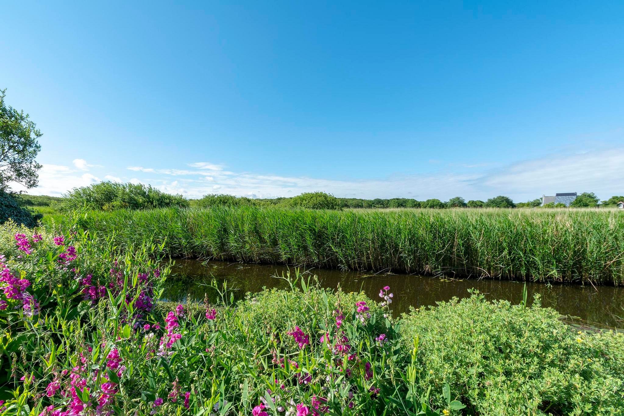 De Buitenplaats 16-Tuinen zomer