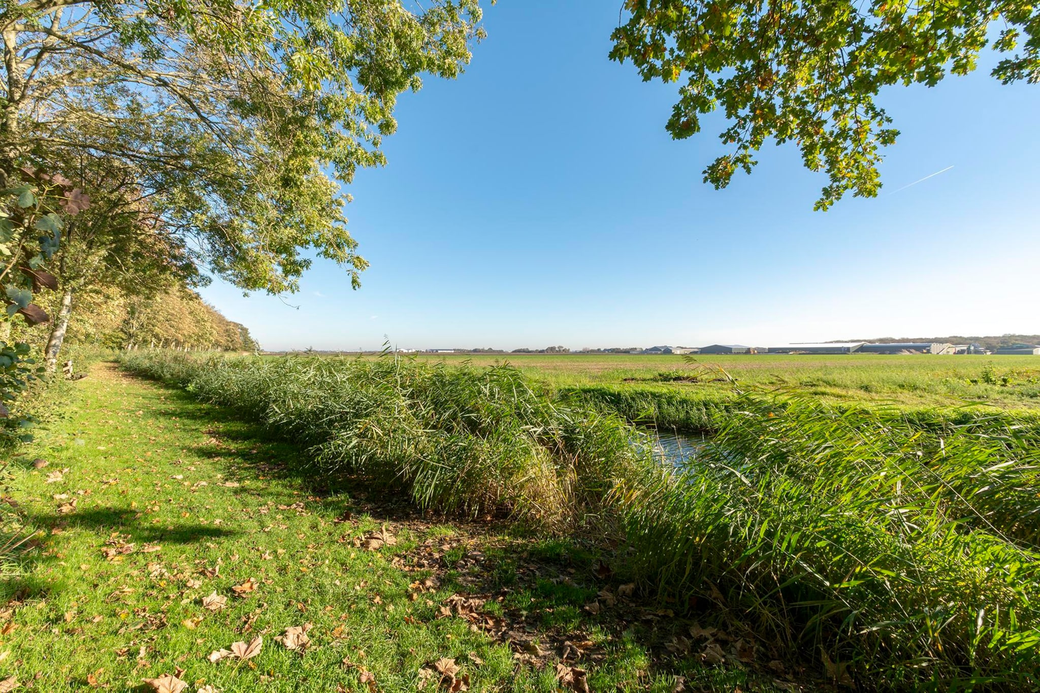 Duinland 110-Gebieden zomer 1km