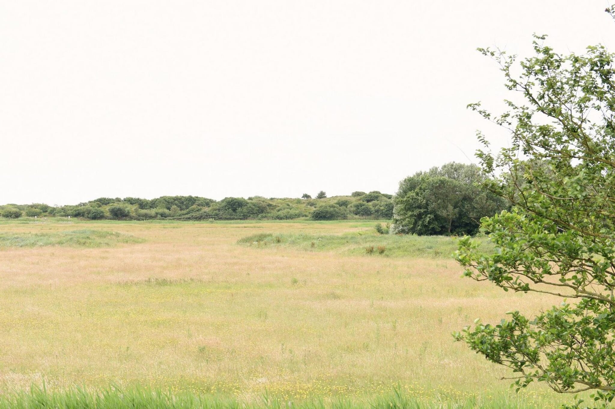 View Summer