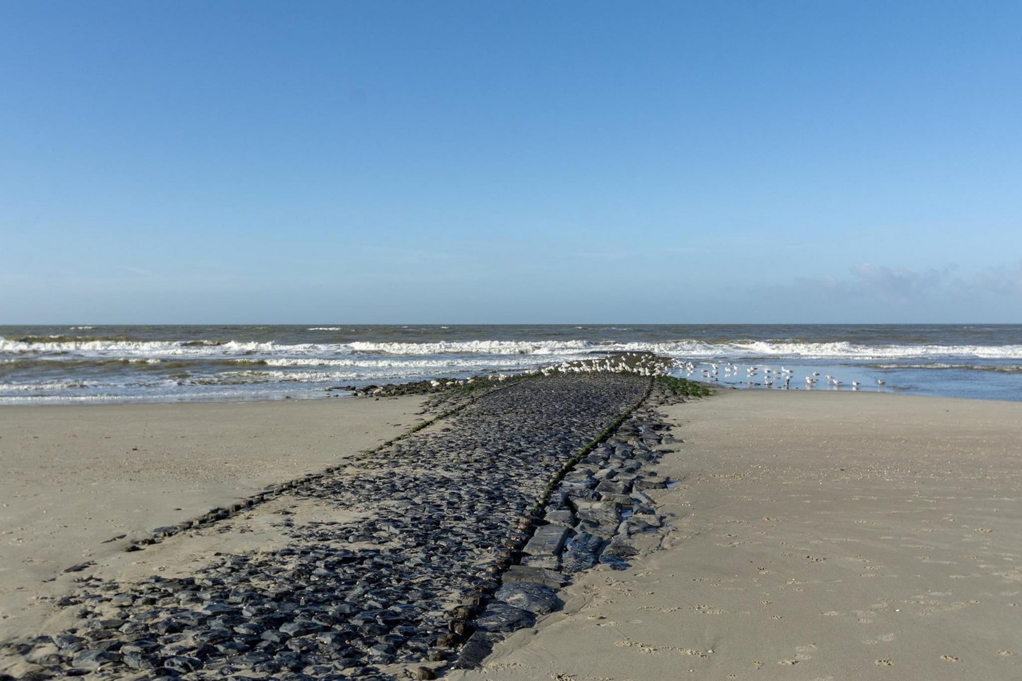 Wijde Blick 203-Image-tags.