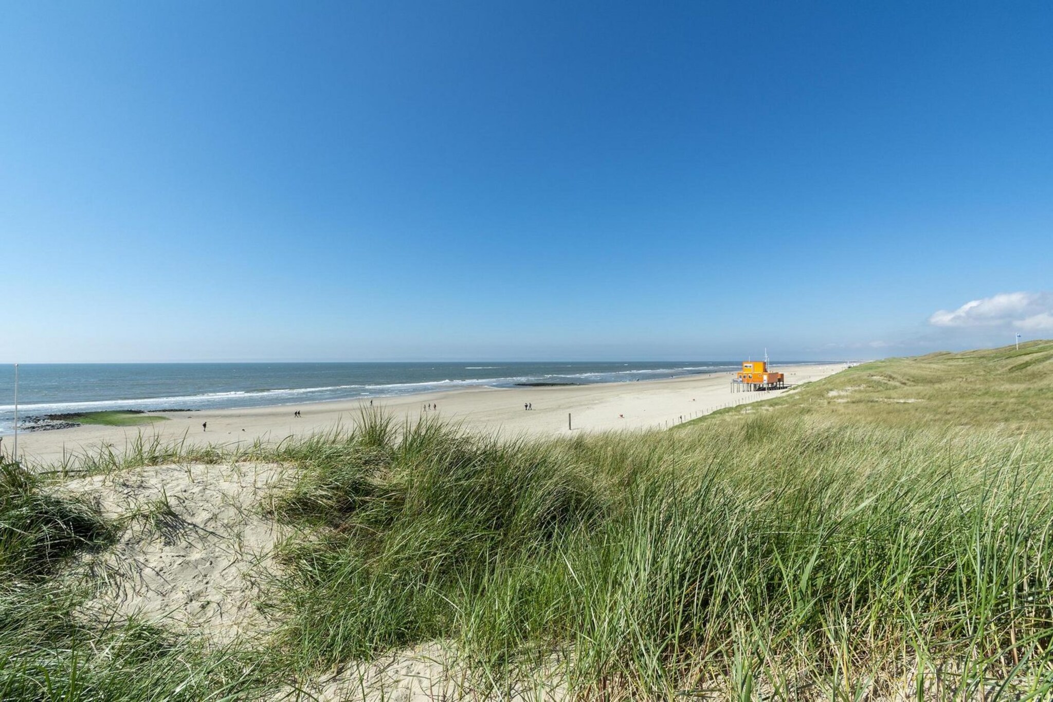 Wijde Blick 307-Image-tags.