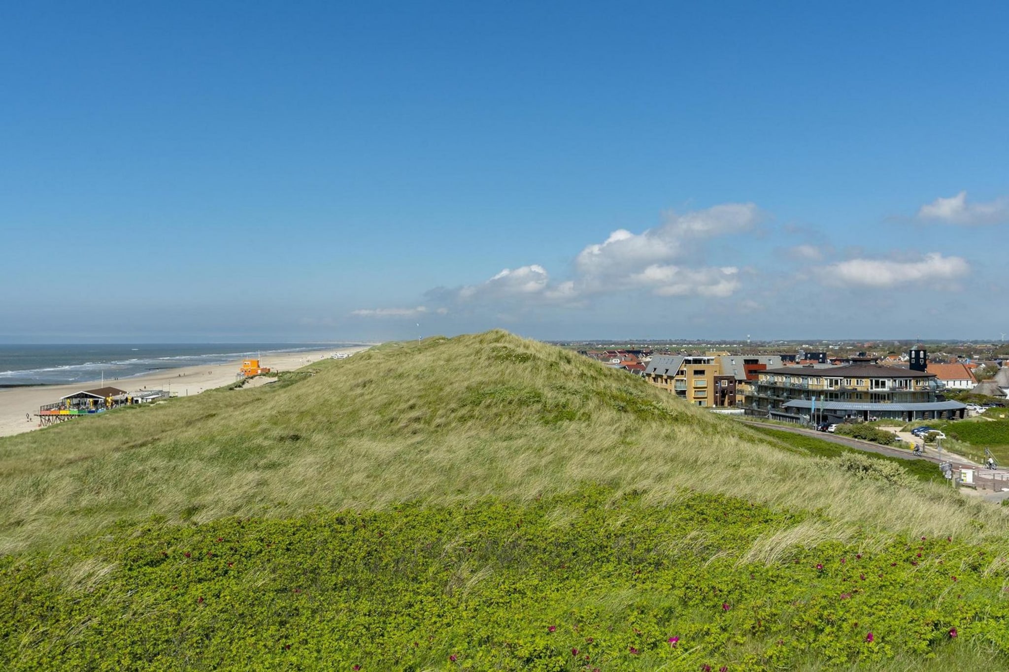 Wijde Blick 307-Image-tags.