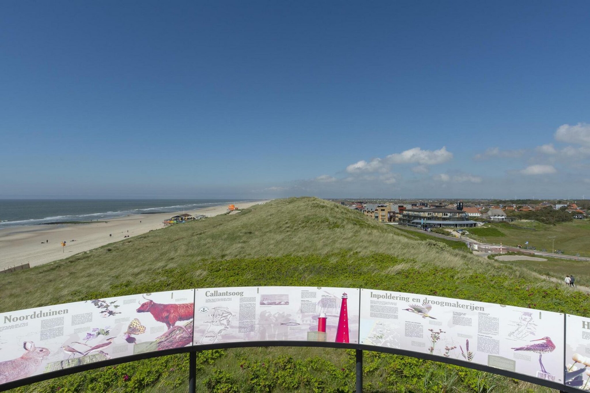 Wijde Blick 309-Image-tags.
