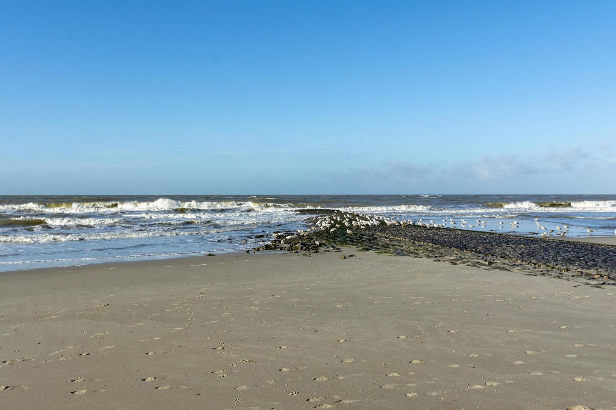 Wijde Blick 310-Image-tags.