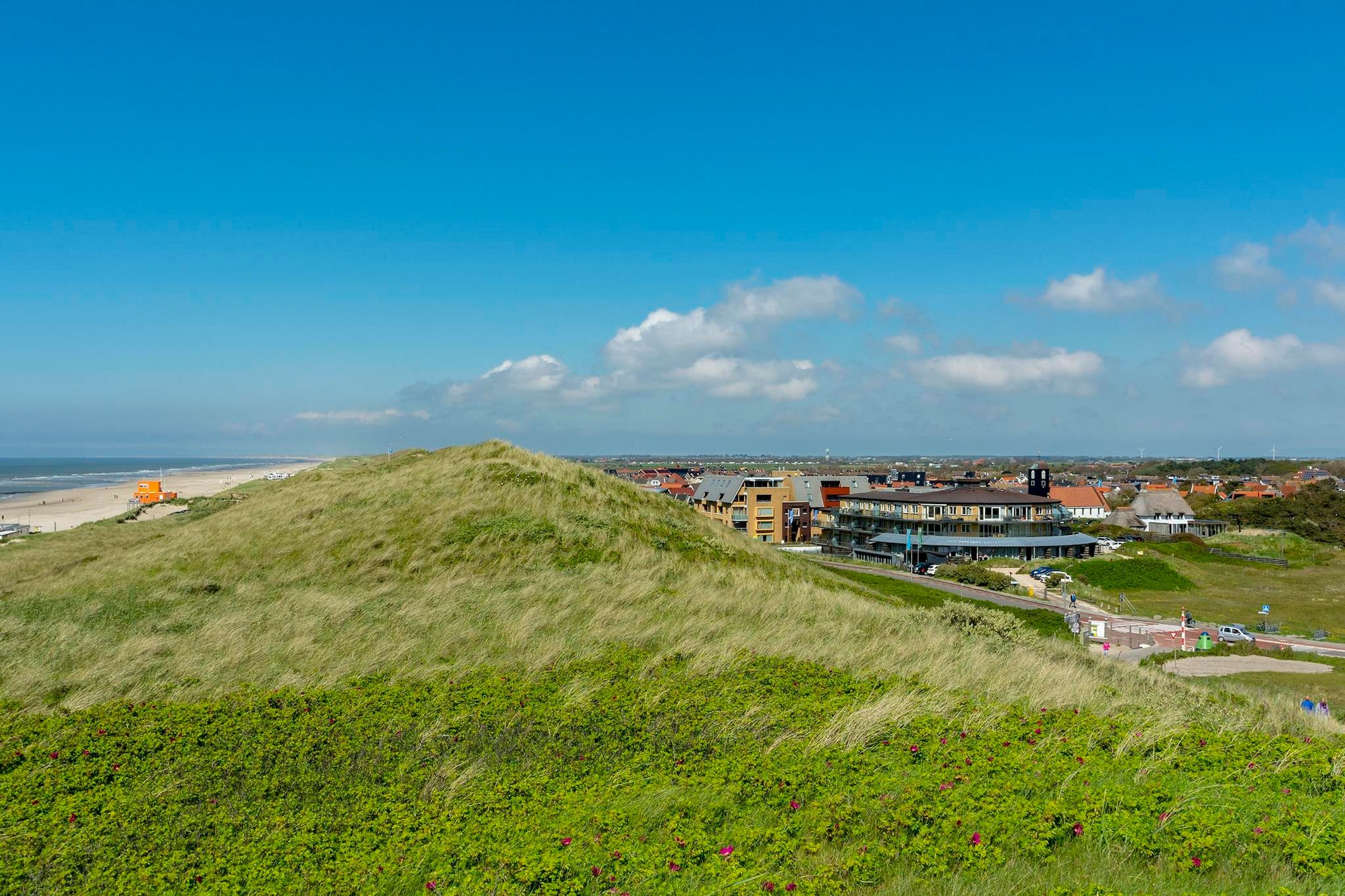 Wijde Blick 310-Gebieden zomer 1km