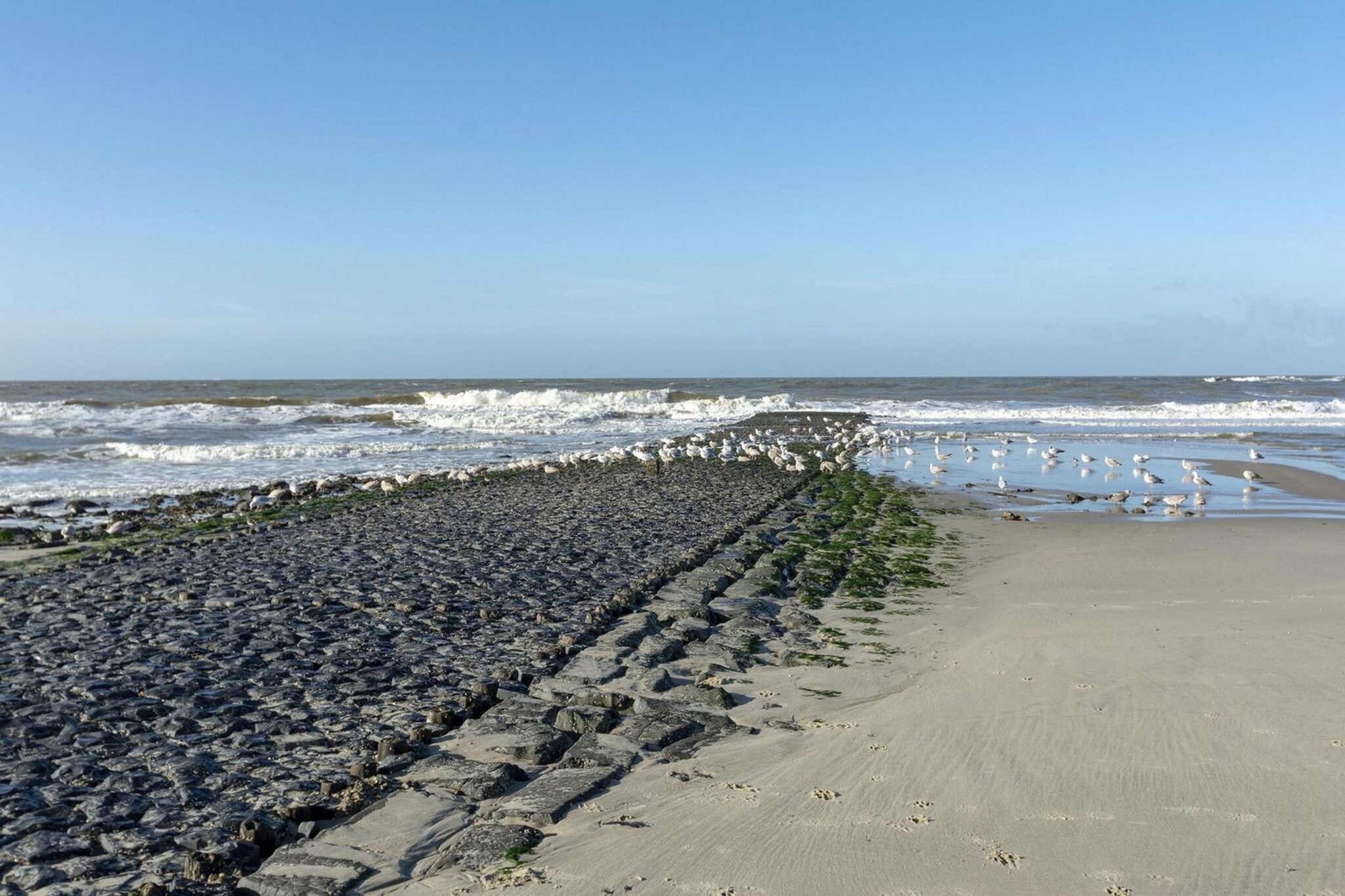 Wijde Blick 311-Image-tags.