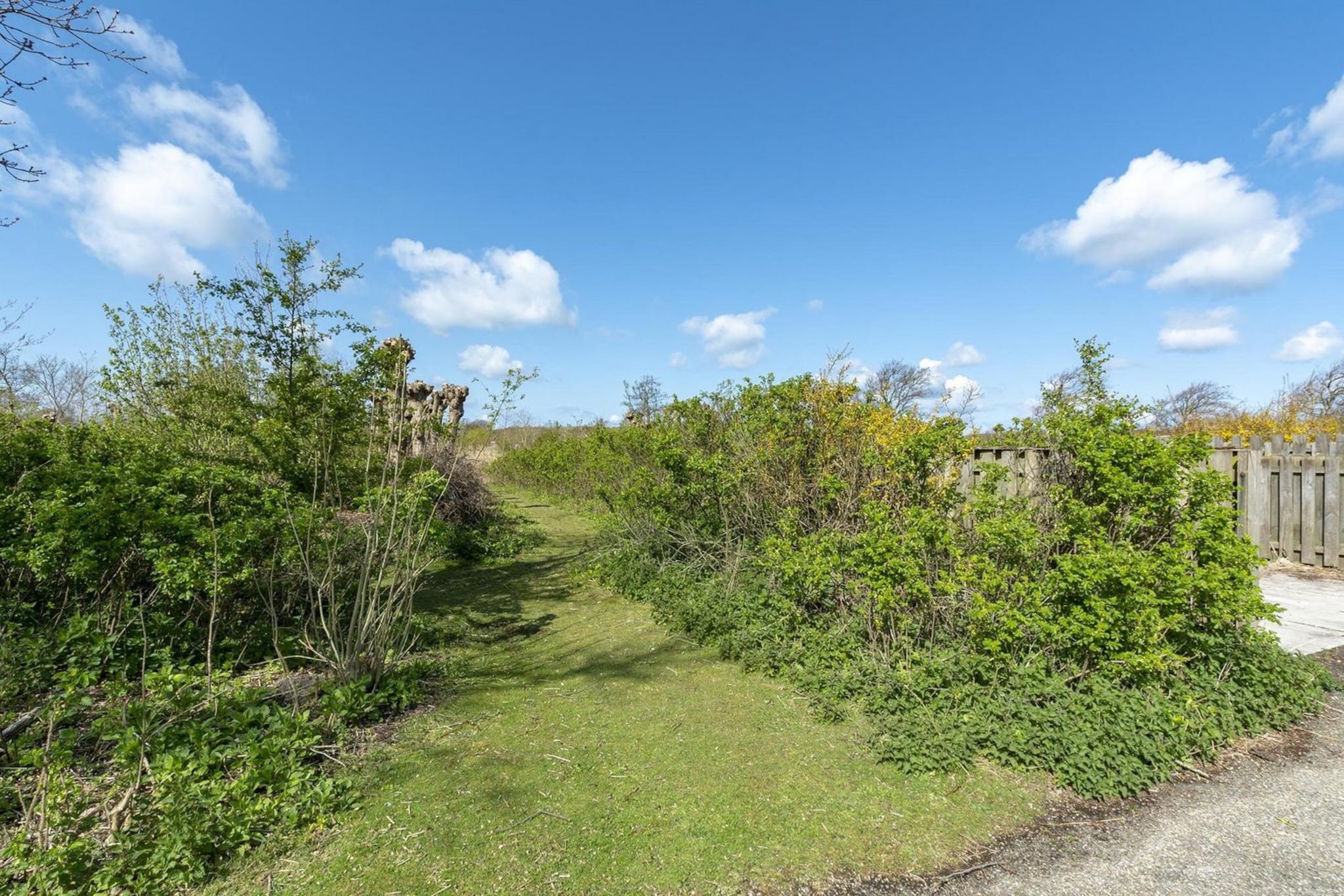Wildrijk 152-Image-tags.