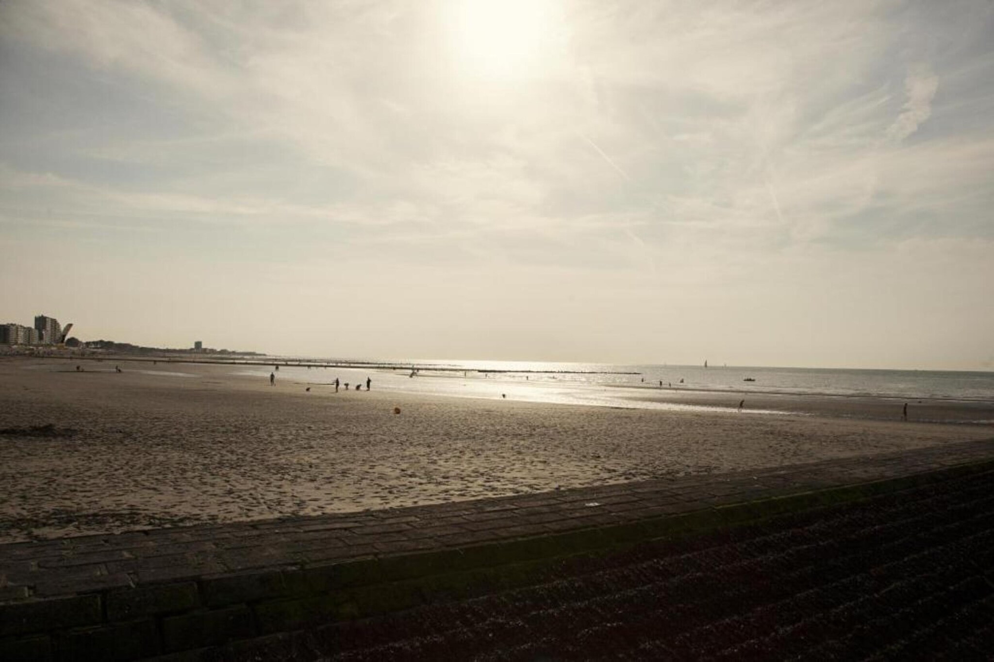 WSP7-Gebieden zomer 20km