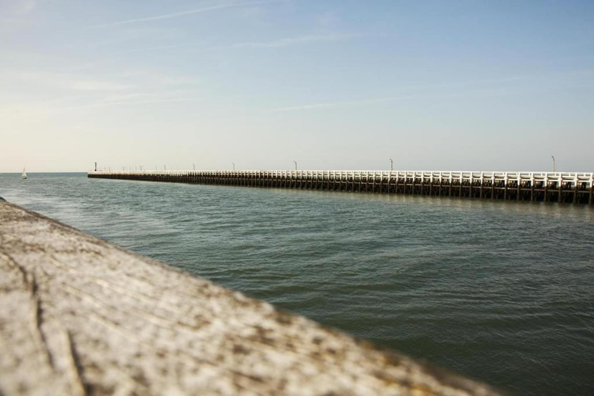 WSP7-Gebieden zomer 20km