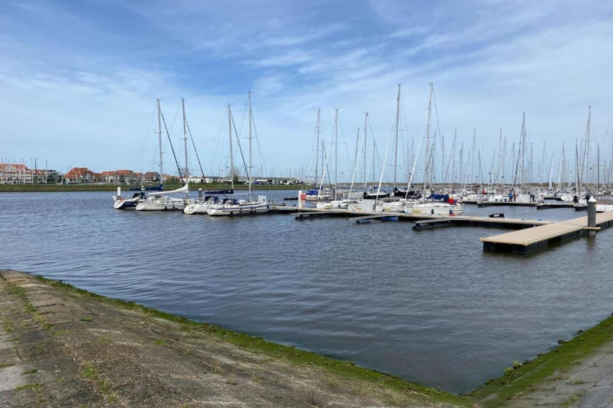 WSP7-Gebieden zomer 20km