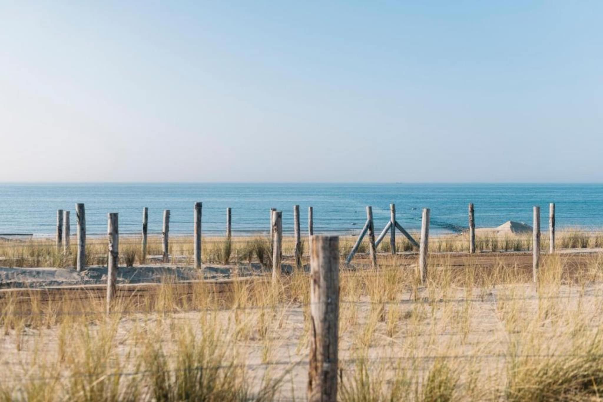Westbay4B-Gebieden zomer 5km