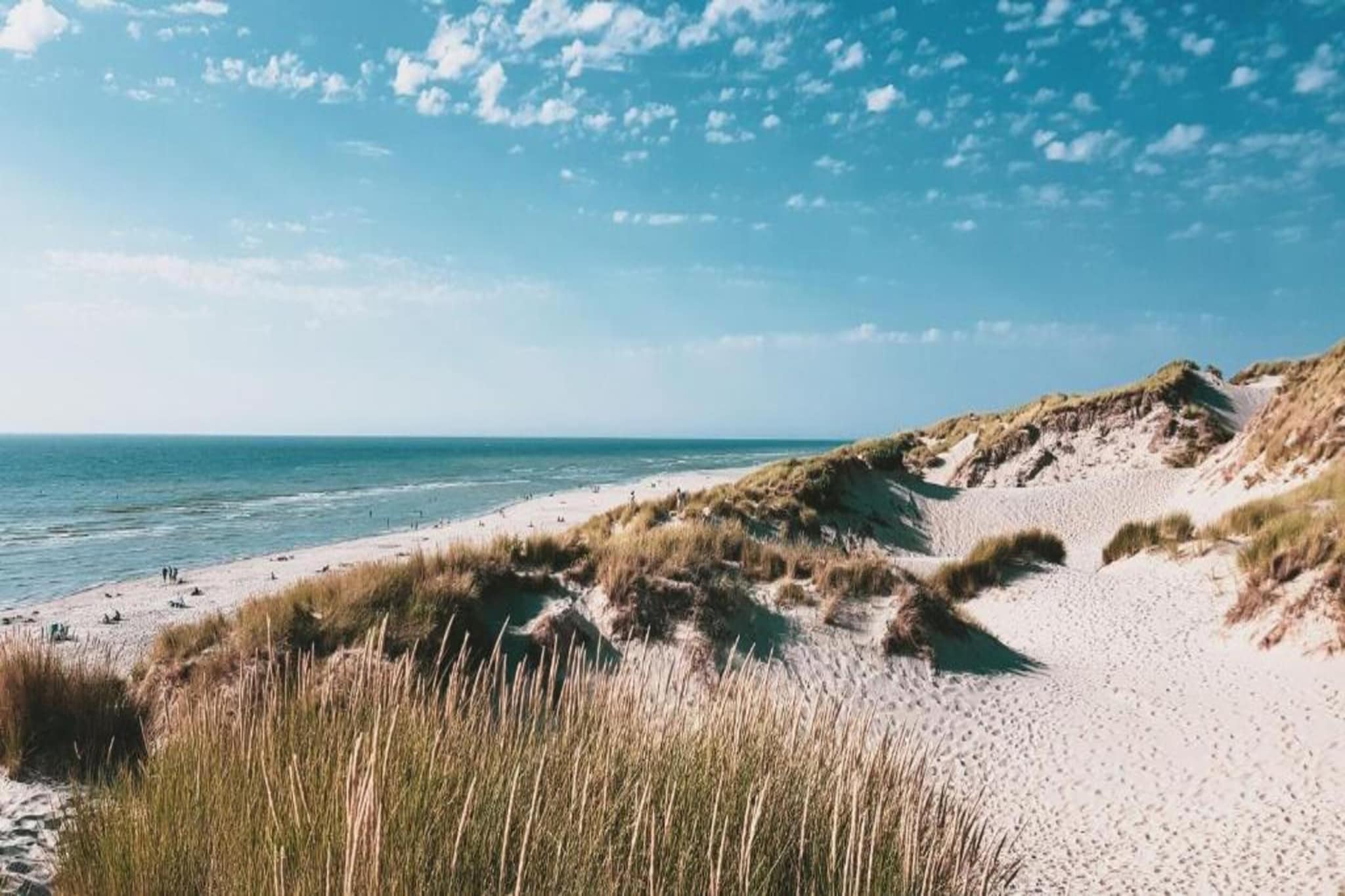 Westbay4B-Gebieden zomer 5km