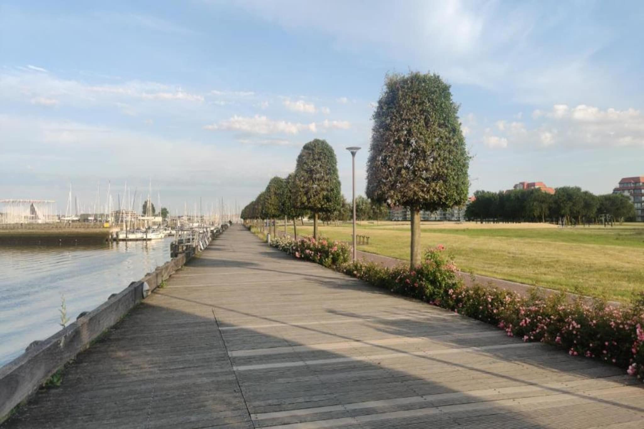 Westbay4B-Gebieden zomer 5km
