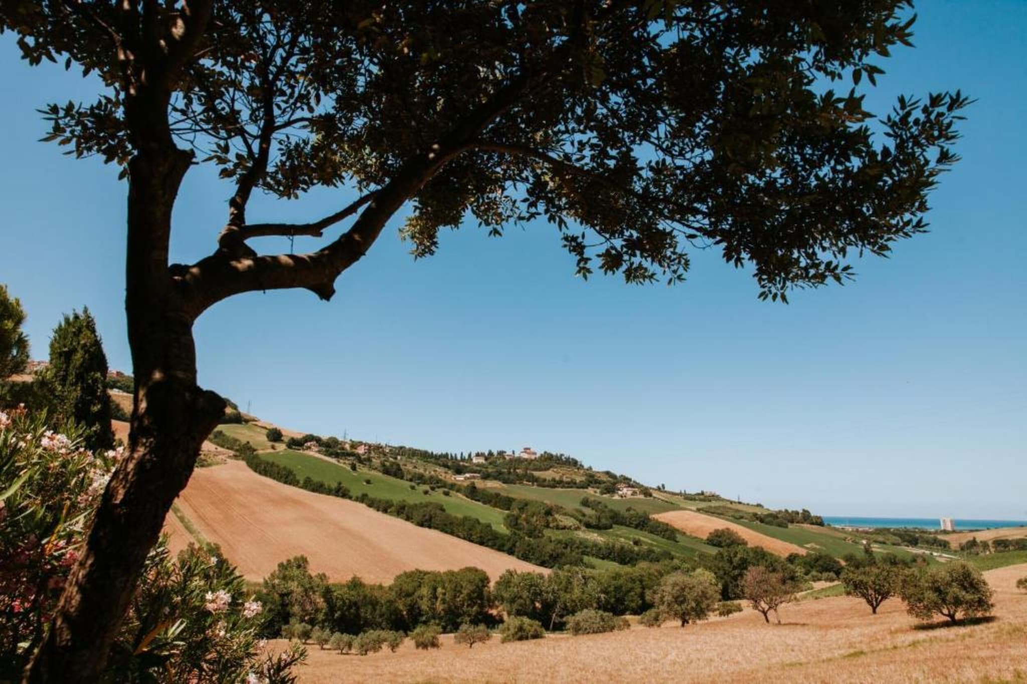 Vino-Zones d'été à 20 km
