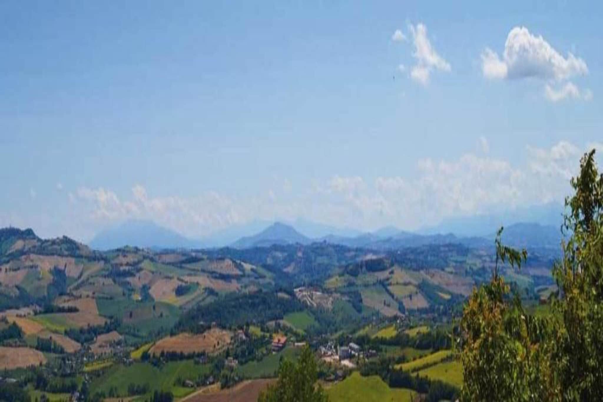 Olio-Gebiete Sommer 20 km